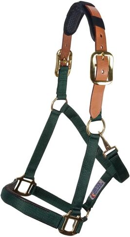Schneiders Dura-Tech Comfort Plus Nylon Breakaway Halter للخيول | أنف مبطن وتاج | التاج الجلدي الانفصال | الحلق المفاجئ | ملاءمة قابلة للتعديل للراحة طوال اليوم in Saudi Arabia