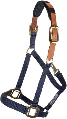 Schneiders Dura-Tech Comfort Plus Nylon Breakaway Halter for Horses | Padded Nose & Crown | Breakaway Leather Crown | Throat Snap | Adjustable Fit for All-Day Comfort in Saudi Arabia