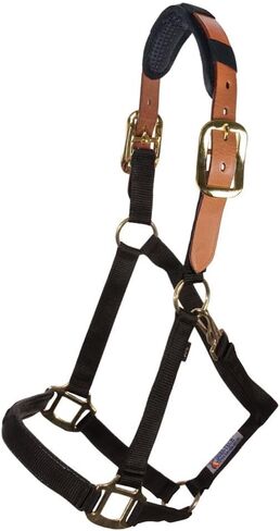 Schneiders Dura-Tech Comfort Plus Nylon Breakaway Halter for Horses | Padded Nose & Crown | Breakaway Leather Crown | Throat Snap | Adjustable Fit for All-Day Comfort in Saudi Arabia