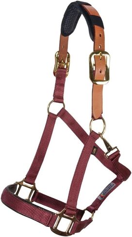 Schneiders Dura-Tech Comfort Plus Nylon Breakaway Halter for Horses | Padded Nose & Crown | Breakaway Leather Crown | Throat Snap | Adjustable Fit for All-Day Comfort in Saudi Arabia