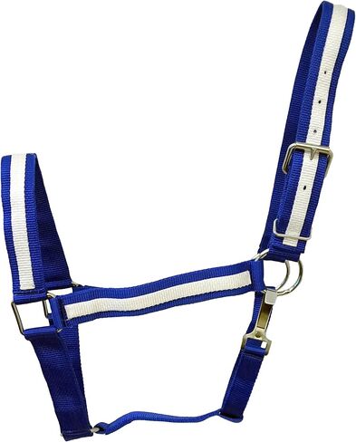 Draft Horse Size 2 Ply Nylon Halter with Stripe Accent in Saudi Arabia