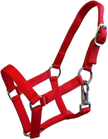 Nylon Foal Halter in Saudi Arabia