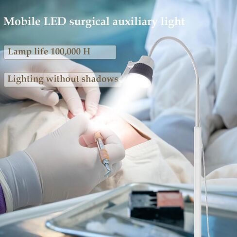 الفحص الجراحي مصباح مصباح مصباح 5W/12W مصباح الفحص الطبي ، ث/عجلات عالمية ظلال Mobile Shadow أقل مرونة في امتحان LED in Saudi Arabia