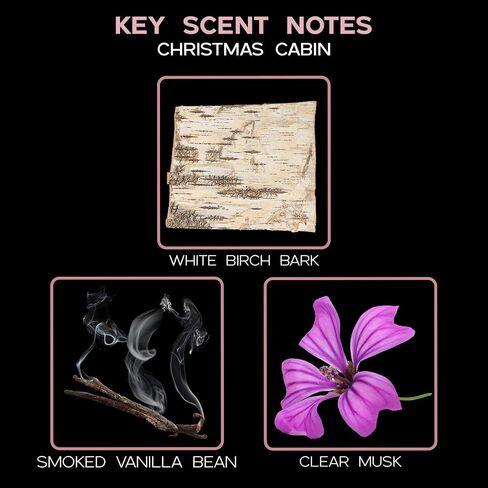 Lovspa Sleep Lavender Vanilla Reed Diffuser Set | اللافندر الإسبانية والفانيليا الدافئة - رائحة سلمية وهادئة للراحة والاسترخاء | صنع في الولايات المتحدة in Kuwait