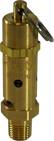 Kingston 1/4 "NPT Brass Hard Seat Righting Righting Rights ، Made in the USA. (100 psi / 133 SCFM) in Kuwait