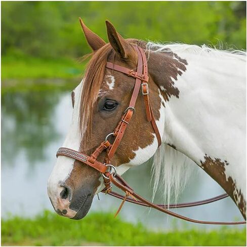 Double S Harness Leather Decorative Nose Side Pull | Bitless Training Aid | Accommodates Horses with Dental Issues | Ideal for Leisure Riding in Saudi Arabia
