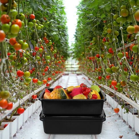 حوض حافلة بحافلة تجاري بلاستيكي 13 لتر مع غطاء ، حافلات صحن مطعم 3 عبوات ، أسود in Kuwait