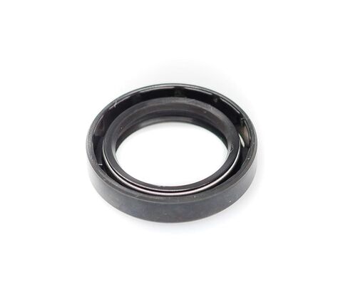 EAI OIL SEAL 1.125 "x1.625" x0.312 "TC Double Lip w/Spring. 1 1/8" x1 5/8 " in Saudi Arabia