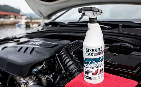 Car, Dashboard, Plastic and Leather Conditioner - Satin Gloss Polish - Spray Cream with Dry Touch - 169,07 oz in Kuwait