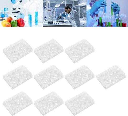 Sterile Petri Dishes,10 PCS Thickness Uniform Highly Transparent Culture Plate Tissue Culcure Plate with Lids for Laboratory Biology Room (6-Hole) in Saudi Arabia