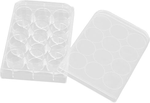 Sterile Petri Dishes,10 PCS Thickness Uniform Highly Transparent Culture Plate Tissue Culcure Plate with Lids for Laboratory Biology Room (6-Hole) in Saudi Arabia