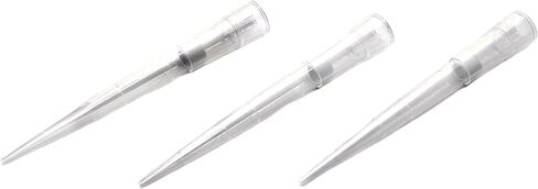 Racked Filter Tips, 100µl - 96 Tips - Graduated - Hydrophobic, Polyethylene Filtered Tips - Sterile, Autoclavable - Eisco Labs in Saudi Arabia