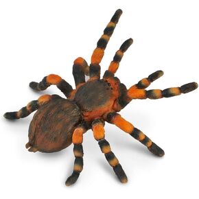 CollectA Insects Mexican Redknee Tarantula Toy Figure - Authentic Hand Painted Arachnid Model