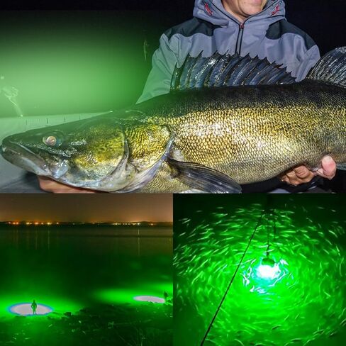 12 فولت LED تحت الماء ضوء الصيد الليلي الأخضر، 120 2835 SMD 10.5 واط مصباح غاطس لصيد السمك، IP68 مصباح قارب مقاوم للماء Crappie Squid Lure Bait Ice Fishing Light جاذب مع سلك طاقة 6 متر in Kuwait