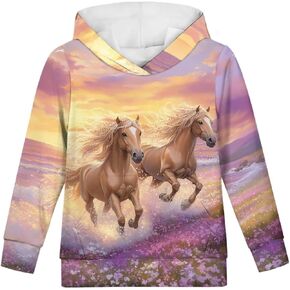 doginthehole Fashion Hoodies for Boys Girls Kids Youth Hooded Pullover Long Sleeve Sweatshirts Cute Animal Graphic in Kuwait