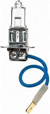 Miniature & Specialty Equipment Lamps, Lamp Technology: Halogen, Lamps Style: Miniature/Specialty (12 Pack) in Saudi Arabia