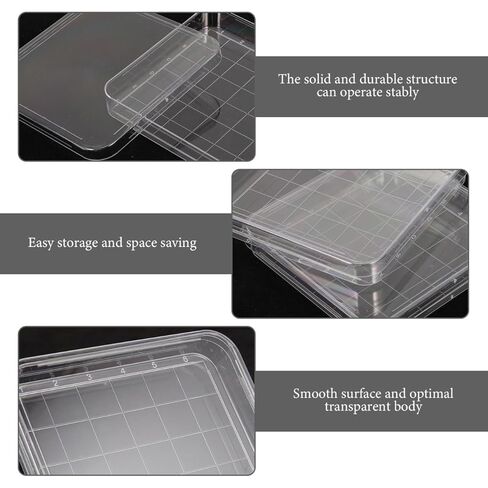 10 PCS Petri Petri Petri Disri Disri Disri Disri Petri Petri Dish Petri Petri Petri Petri Petri مع أطباق أطباق Petri Petri Petri Petri in Saudi Arabia