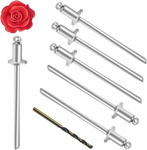 2PCS Rosette Rivets الفولاذ المقاوم للصدأ من الفولاذ المقاوم للصدأ لفورد كرايسلر AMC VIN TAG ، علامة باب VIN مع سيارات GM AMC (2) in Kuwait