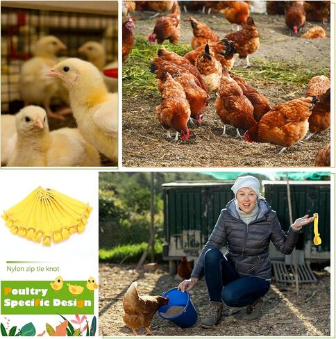 ساتينيون 24 حزمة حبل ربطة عنق صفراء عربات نايلون من نايلون مقود الدجاج للدواجن ، الدجاج ، إكسسوارات لوازم طيور اللعبة ، السحابات المتينة لضبط النفس الآمن in Kuwait