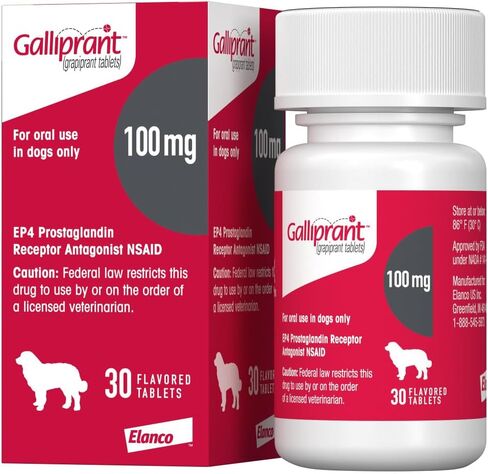 Galliprant Osteoarthritis Pain & Inflammation Control for Dogs | 60 mg | 15 Flavored Tablets in Saudi Arabia