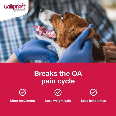 Galliprant Osteoarthritis Pain & Inflammation Control for Dogs | 60 mg | 15 Flavored Tablets in Saudi Arabia