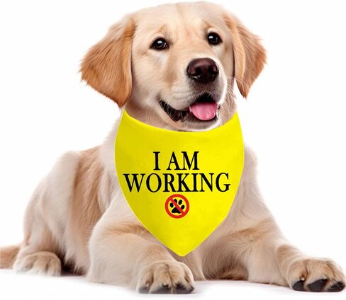 1 Piece Service Dog I Am Working Dog Bandana Dot Not Pet Working Dog Bandana Service Dog Scarf (Am Working D) in Saudi Arabia