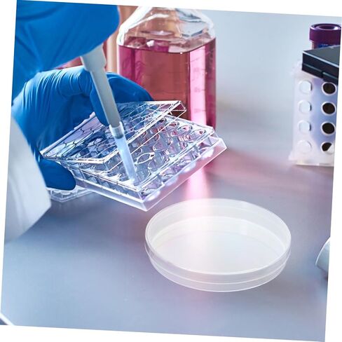 Cabilock Round 6cm Petri Dishes 10pcs Agar Culture Dishes for Laboratory School Teaching Use in Saudi Arabia