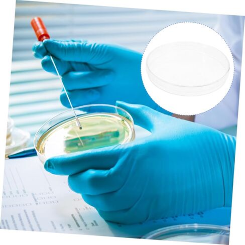 Cabilock Round 6cm Petri Dishes 10pcs Agar Culture Dishes for Laboratory School Teaching Use in Saudi Arabia