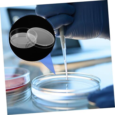 Cabilock Round 6cm Petri Dishes 10pcs Agar Culture Dishes for Laboratory School Teaching Use in Saudi Arabia