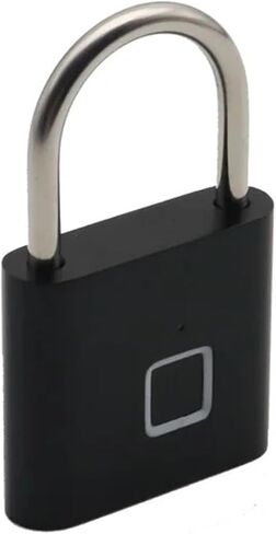 The Zinc Alloy Panel Fingerprint Lock Can Store Fingerprints and The Operation is Simple Safe 1Pcs in Saudi Arabia