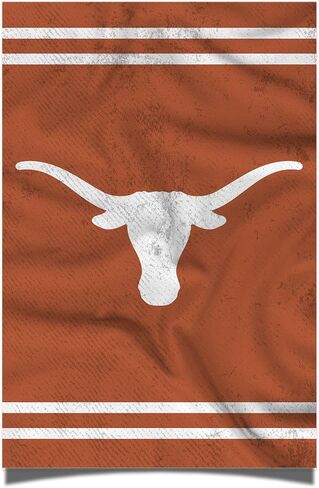 ملصق Desert Cactus University of Texas Longhorns UT Austin 11 × 17 بوصة ديكور ديكور ديكور تزيين المعدات الرسمية (11x17 بوصة ، الإصدار 3) in Kuwait