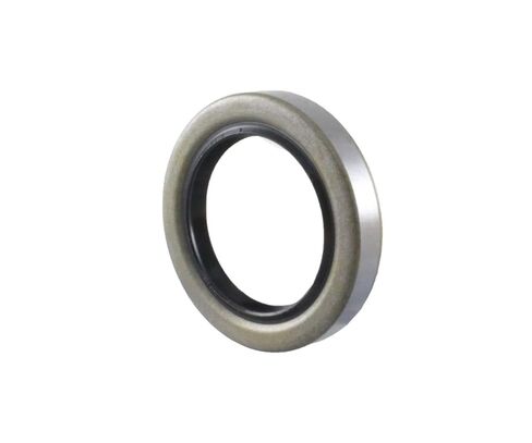 EAI OIL SEAL 0.875 "x1.313" x0.313 "TB Double Lip w/Spring 7/8" in Saudi Arabia