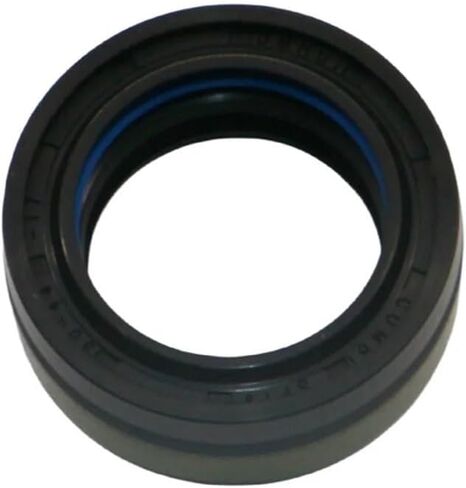 30 * 44 * 17 Shaft Oil Seal 30×44×17 Fit for 12036964B 87710155 CARRARO 644149 in Saudi Arabia