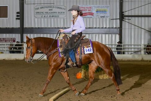 Chestnut Bay Annie-O Western Show Shirt in Saudi Arabia