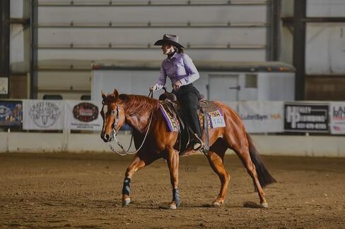 Chestnut Bay Annie-O Western Show Shirt in Saudi Arabia
