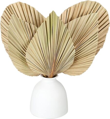 5 Pieces Natural Dried Palm Leaves Real Palm Leaves Decor Boho Palm Fans Tropical Palm Flowers Dried Palm Spears Heart Oval Shape Dried Palm Leaves for Wedding House Party Kitchen Decoration (Brown) in Saudi Arabia