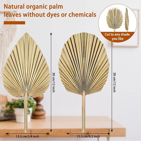 5 Pieces Natural Dried Palm Leaves Real Palm Leaves Decor Boho Palm Fans Tropical Palm Flowers Dried Palm Spears Heart Oval Shape Dried Palm Leaves for Wedding House Party Kitchen Decoration (Brown) in Saudi Arabia