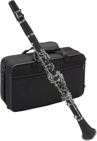 Btuty BB Clarinet ABS مجهر مع 10 قصب ، قماش تنظيف ، قفازات ، مفك البراغي ، قوس ، حقيبة يد ، فرشاة التنظيف - أداة خشبية Ebonite الاحترافية للطالب المبتدئين in Saudi Arabia