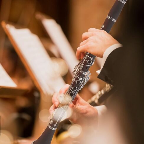 Btuty BB Clarinet ABS مجهر مع 10 قصب ، قماش تنظيف ، قفازات ، مفك البراغي ، قوس ، حقيبة يد ، فرشاة التنظيف - أداة خشبية Ebonite الاحترافية للطالب المبتدئين in Saudi Arabia