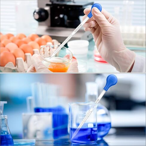 QWORK Glass Droppers Pipettes Graduated Lab Dropper Set, 10 ml Capacity with Large Rubber Caps Glass Liquid Pipette in Saudi Arabia