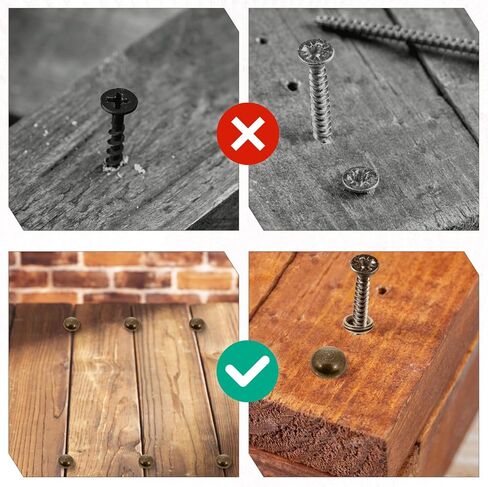 Brass Decorative Screws with Caps Decorative Wood Screw Covers Decoratives Cover Brass Mirror Fixing Screw Cover Fasteners Self-Tapping Upholstery Screws for Wood Furniture Cabinet, 8PCS 15mm in Saudi Arabia