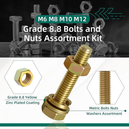 740 PCS Grade 8.8 M6 M8 M10 M12 Procs and Nuts Kit ، طقم تشويش ، مسامير متري من الصلب الشقوق in Saudi Arabia