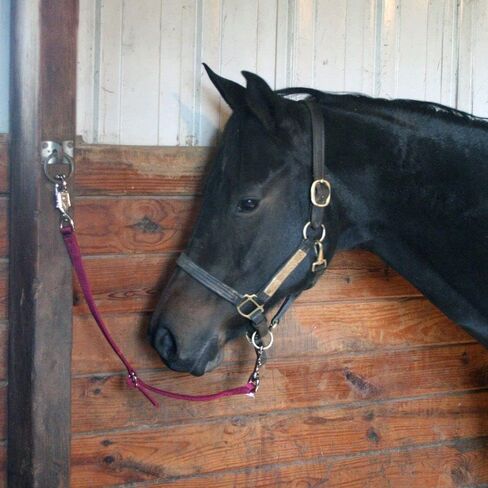 Dura-Tech Ply Double Ply قابلة للتعديل المقطورة المقطورة | مثالية لمواقع التعليق المتعددة | إطلاق سراح سريع الذعر طول قابل للتعديل | ارتباط سهل مع الرسن من الحصان in Kuwait