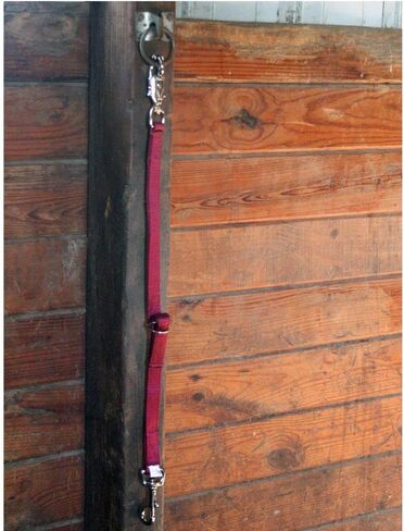 Dura-Tech Ply Double Ply قابلة للتعديل المقطورة المقطورة | مثالية لمواقع التعليق المتعددة | إطلاق سراح سريع الذعر طول قابل للتعديل | ارتباط سهل مع الرسن من الحصان in Kuwait