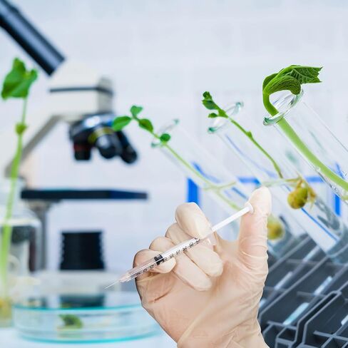 محاقن 1 سم مكعب مع 31G 5/16 "(8 مم) الإبرة 30Pack ، لوازم المختبرات ملفوفة بشكل فردي (1CC 31G 5/16" -30Pack) in Kuwait