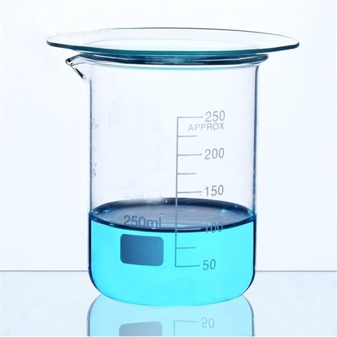 10pcs/pack 60mm-150mm Watch Cup Covers Laboratory Glassware(100mm) in Saudi Arabia