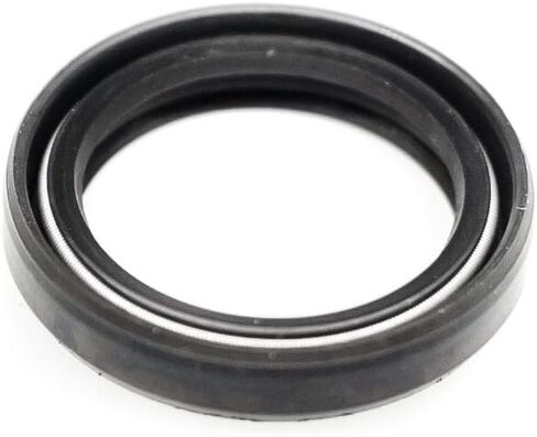 EAI OIL SEAL 20 مم × 27 مم × 5 مم TC شفة مزدوجة ث/الربيع. حالة معدنية مع طلاء المطاط النتريل in Saudi Arabia