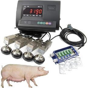 Livestock Scale Kit, Electronic Tray Scale Load Cell Platform, High Precision LCD Backlight Display Weighing Indicator for Cattle, Goats in Kuwait