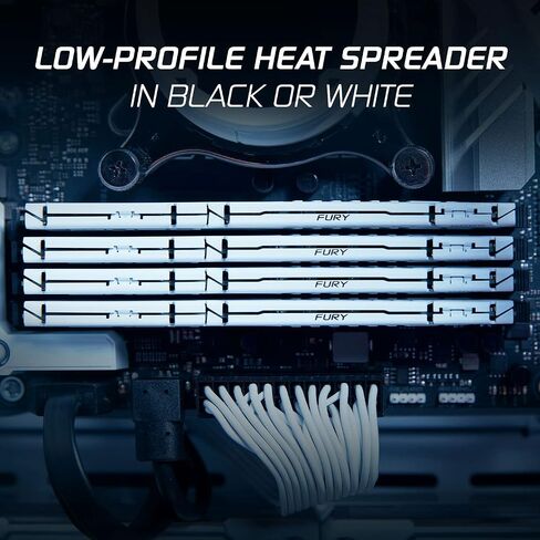 Kingston Fury Beast Black 8GB 5200MT/s DDR5 CL40 XMP 3.0 Ready Computer Memory Single Module KF552C40BB-8 in Kuwait