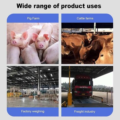 Livestock Scale Kit, Electronic Tray Scale Load Cell Platform, High Precision LCD Backlight Display Weighing Indicator for Cattle, Goats in Saudi Arabia